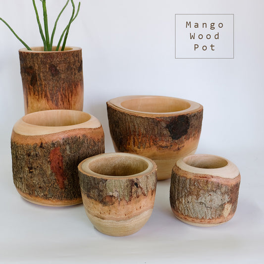 鉢カバー 懸崖３号４号 黒ポット用 おしゃれ マンゴーウッド stem 天然木