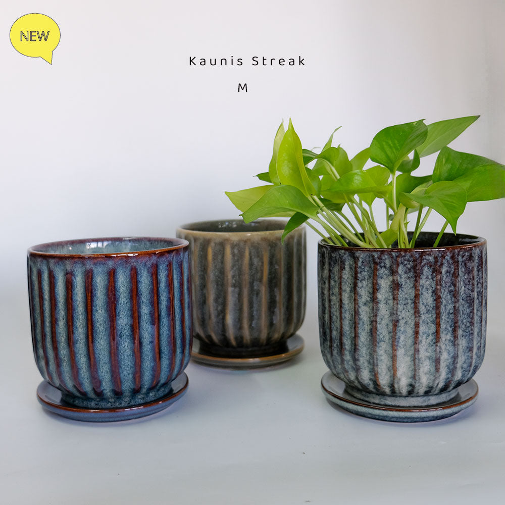 陶器鉢 Kaunis Streak 受皿付  【S/M】 受皿付セラミック鉢 底穴あり 径15.5cm 高14.5cm 径12.5cm 高11.5cm  tronco