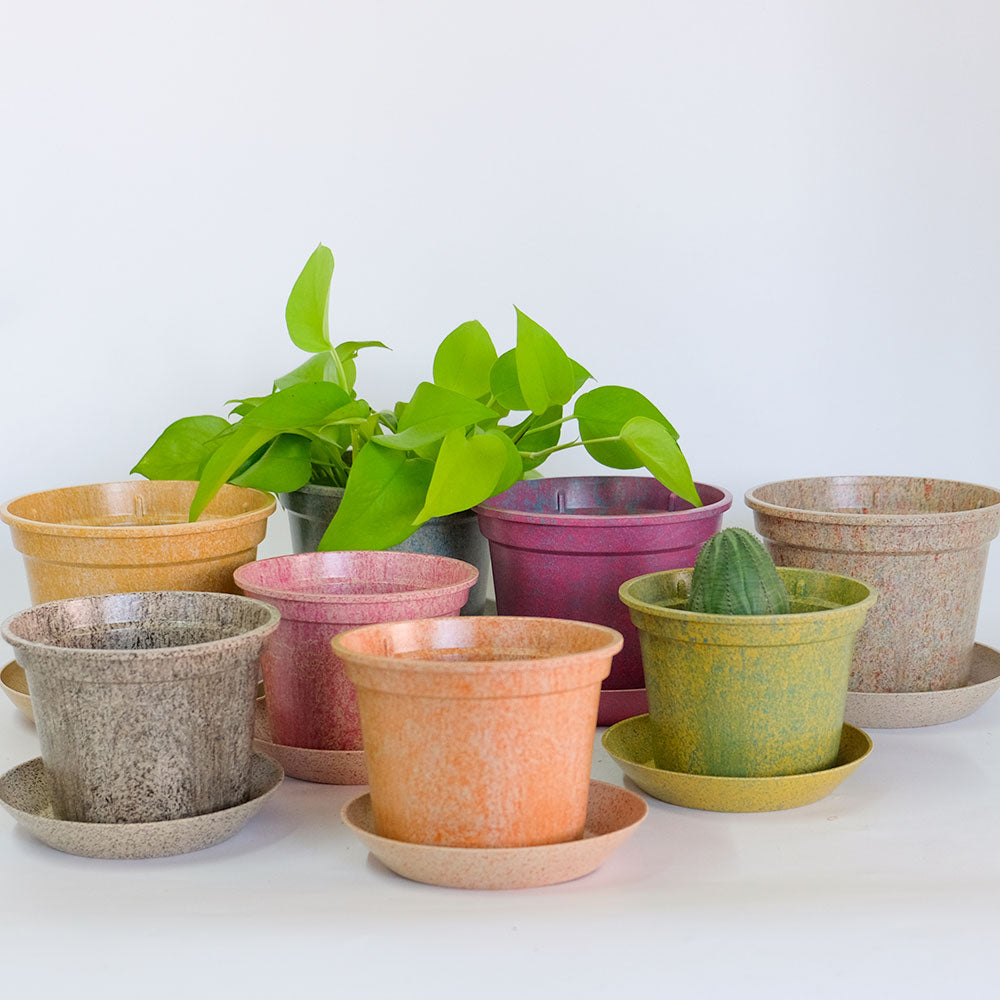 植木鉢 かわいい 受皿付 エコ素材 プラスチック もみ殻 カラフル 軽量 Laula 径13.5-16.5cm 高10.5-12.5cm S/Mサイズ 8色展開 青 薄茶 桃 黄緑 オレンジ