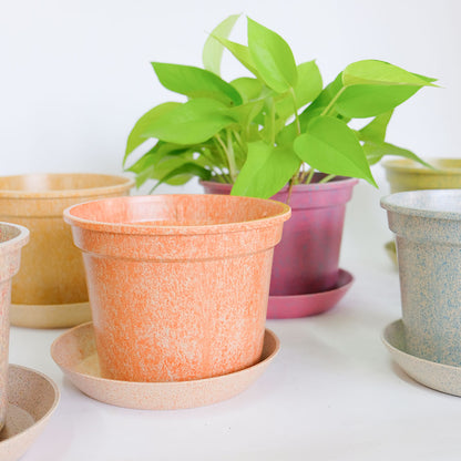 植木鉢 かわいい 受皿付 エコ素材 プラスチック もみ殻 カラフル 軽量 Laula 径13.5-16.5cm 高10.5-12.5cm S/Mサイズ 8色展開 青 薄茶 桃 黄緑 オレンジ