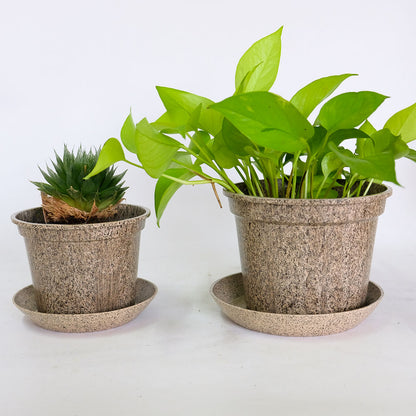 植木鉢 かわいい 受皿付 エコ素材 プラスチック もみ殻 カラフル 軽量 Laula 径13.5-16.5cm 高10.5-12.5cm S/Mサイズ 8色展開 青 薄茶 桃 黄緑 オレンジ