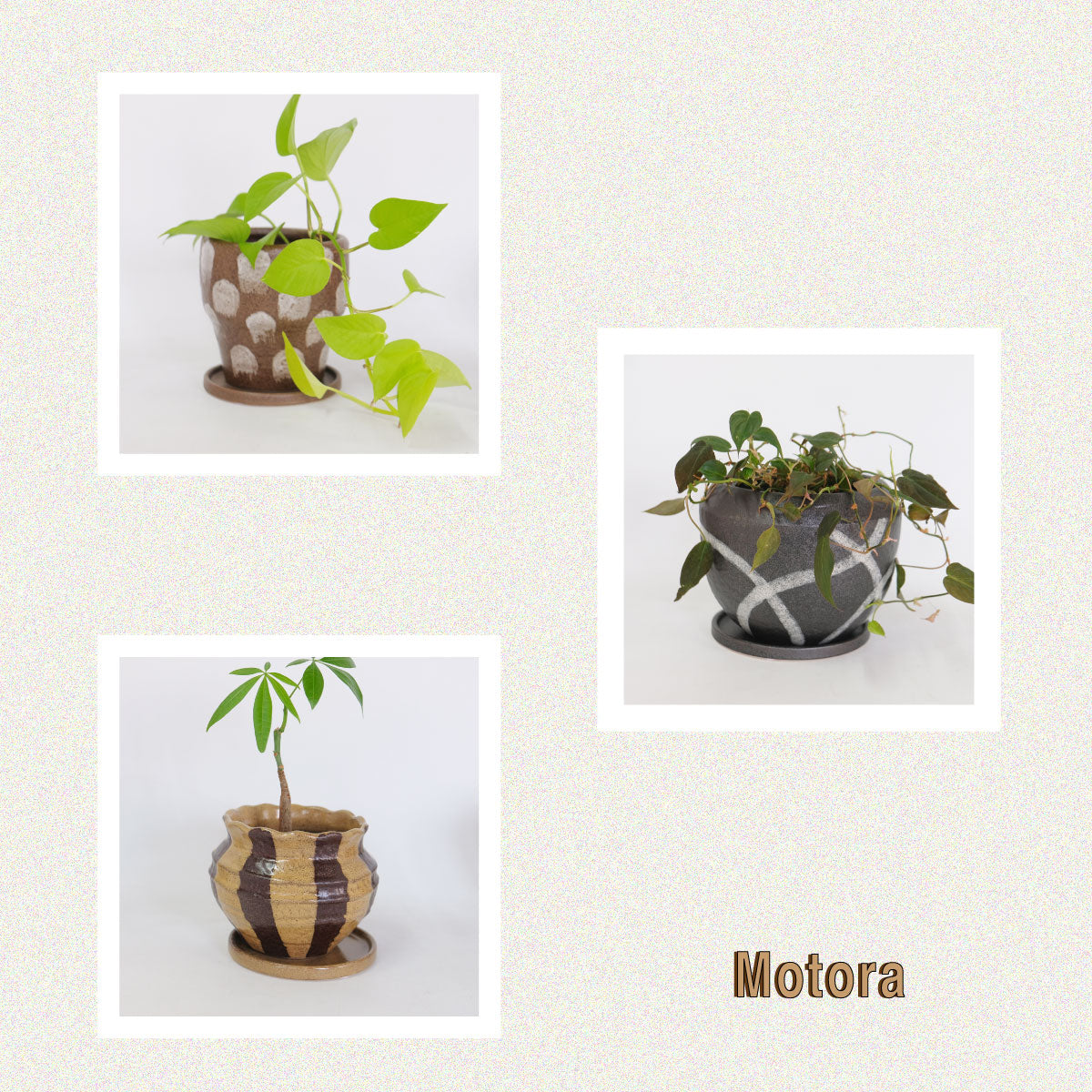 植木鉢 おしゃれ 手書き風 クラフト感 アート Motora 受皿付 径14.5-19.5cm 高12-15cm 底穴あり セメントポット トロンコ tronco