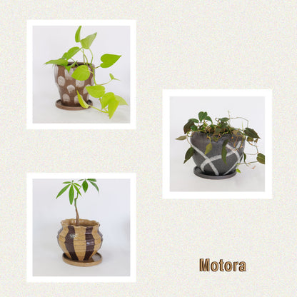 植木鉢 おしゃれ 手書き風 クラフト感 アート Motora 受皿付 径14.5-19.5cm 高12-15cm 底穴あり セメントポット トロンコ tronco