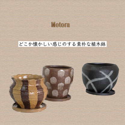 植木鉢 おしゃれ 手書き風 クラフト感 アート Motora 受皿付 径14.5-19.5cm 高12-15cm 底穴あり セメントポット トロンコ tronco