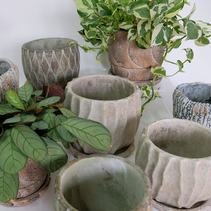 植木鉢 おしゃれ 石材調 ごつごつ 岩肌 Peculiar 受皿付 径13.5-14.5cm 高12cm 底穴あり セメントポット トロンコ tronco Mサイズ Lサイズ