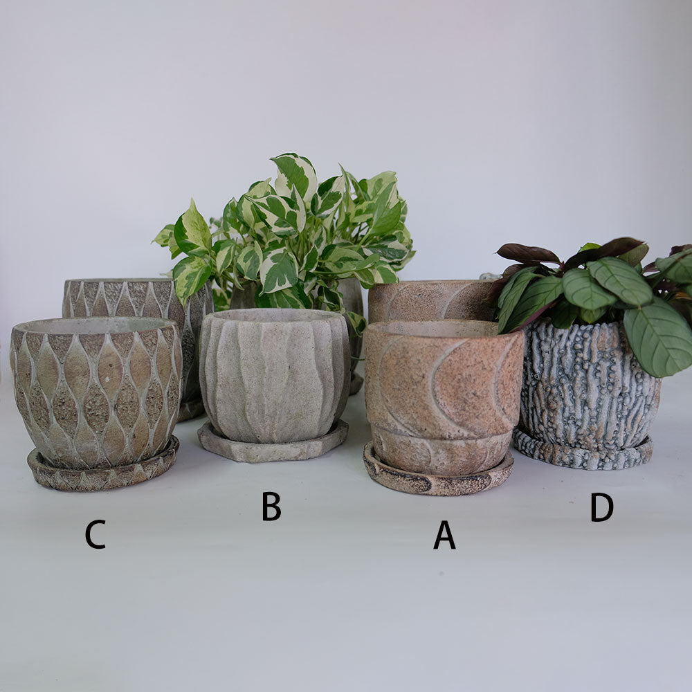 植木鉢 おしゃれ 石材調 ごつごつ 岩肌 Peculiar 受皿付 径13.5-14.5cm 高12cm 底穴あり セメントポット トロンコ tronco Mサイズ Lサイズ