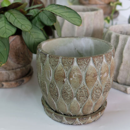 植木鉢 おしゃれ 石材調 ごつごつ 岩肌 Peculiar 受皿付 径13.5-14.5cm 高12cm 底穴あり セメントポット トロンコ tronco Mサイズ Lサイズ