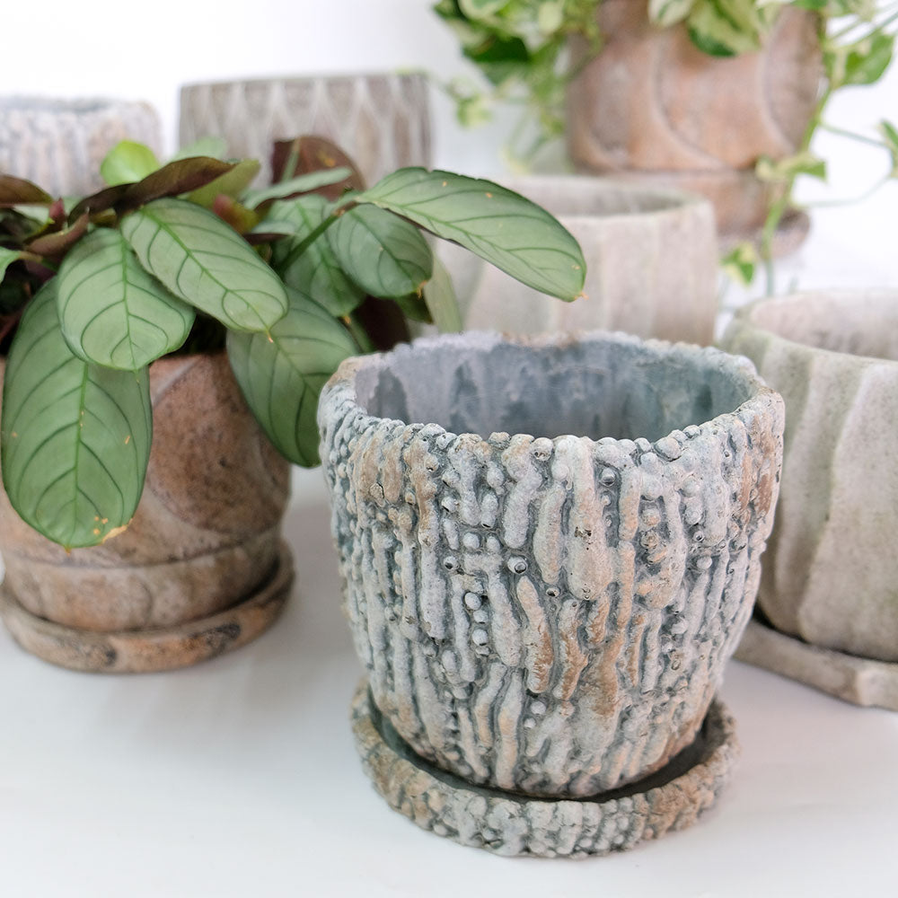 植木鉢 おしゃれ 石材調 ごつごつ 岩肌 Peculiar 受皿付 径13.5-14.5cm 高12cm 底穴あり セメントポット トロンコ tronco Mサイズ Lサイズ