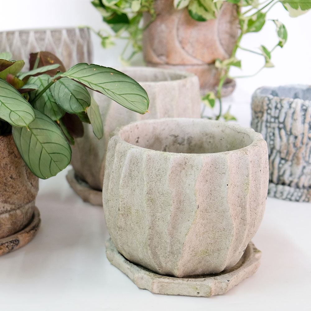 植木鉢 おしゃれ 石材調 ごつごつ 岩肌 Peculiar 受皿付 径13.5-14.5cm 高12cm 底穴あり セメントポット トロンコ tronco Mサイズ Lサイズ