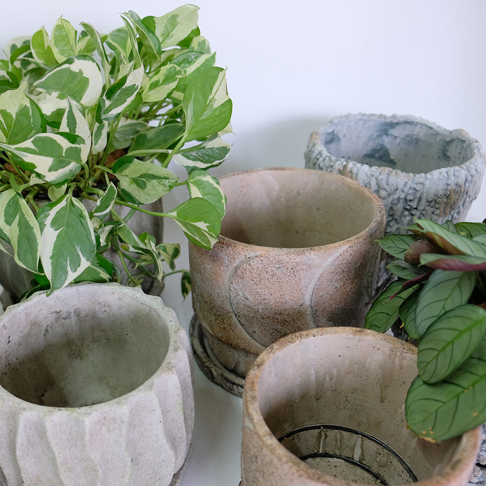 植木鉢 おしゃれ 石材調 ごつごつ 岩肌 Peculiar 受皿付 径13.5-14.5cm 高12cm 底穴あり セメントポット トロンコ tronco Mサイズ Lサイズ