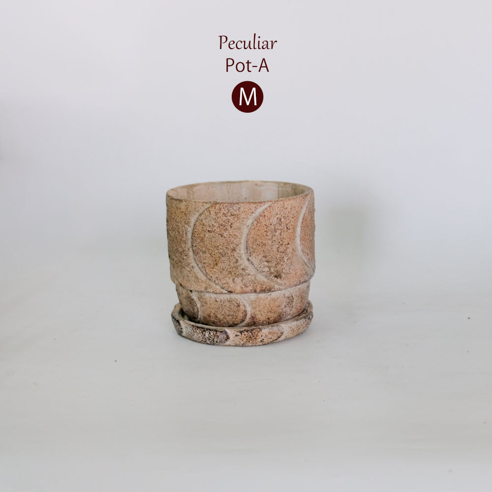 植木鉢 おしゃれ 石材調 ごつごつ 岩肌 Peculiar 受皿付 径13.5-14.5cm 高12cm 底穴あり セメントポット トロンコ tronco Mサイズ Lサイズ