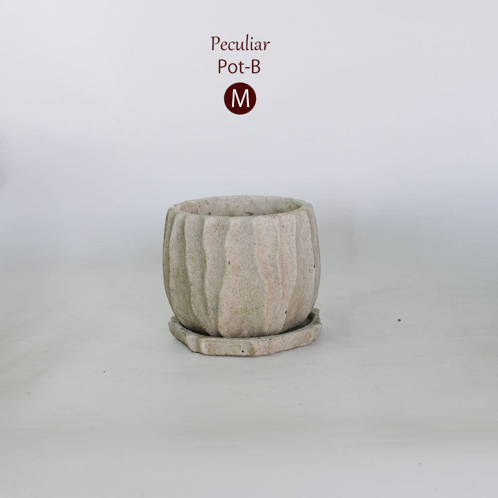 植木鉢 おしゃれ 石材調 ごつごつ 岩肌 Peculiar 受皿付 径13.5-14.5cm 高12cm 底穴あり セメントポット トロンコ tronco Mサイズ Lサイズ