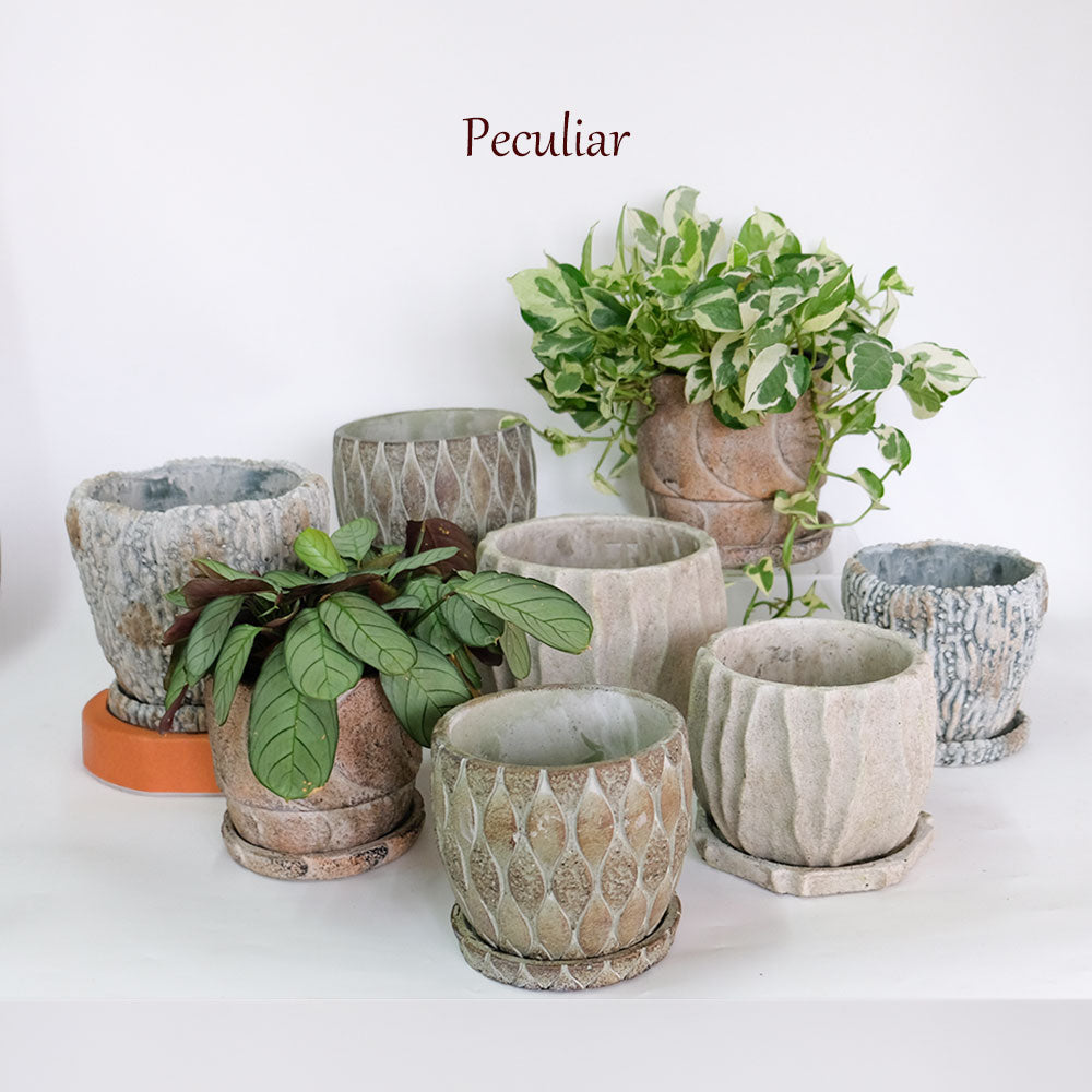 植木鉢 おしゃれ 石材調 ごつごつ 岩肌 Peculiar 受皿付 径13.5-14.5cm 高12cm 底穴あり セメントポット トロンコ tronco Mサイズ Lサイズ