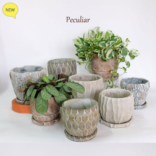 植木鉢 おしゃれ 石材調 ごつごつ 岩肌 Peculiar 受皿付 径13.5-14.5cm 高12cm 底穴あり セメントポット トロンコ tronco Mサイズ Lサイズ
