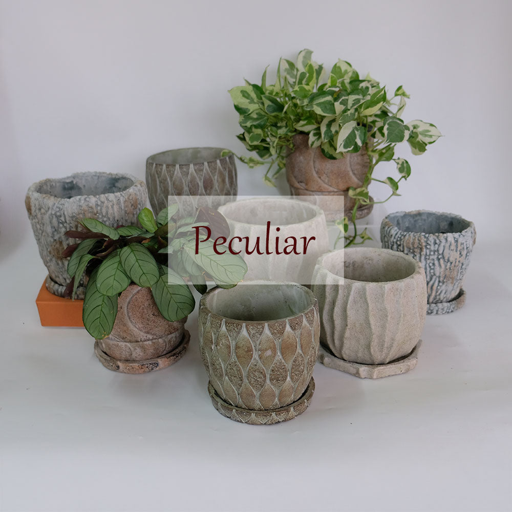 植木鉢 おしゃれ 石材調 ごつごつ 岩肌 Peculiar 受皿付 径13.5-14.5cm 高12cm 底穴あり セメントポット トロンコ tronco Mサイズ Lサイズ