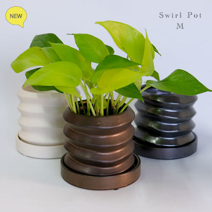 陶器鉢 Swirl Pot 受皿付 底穴あり セラミック鉢 トロンコ tronco