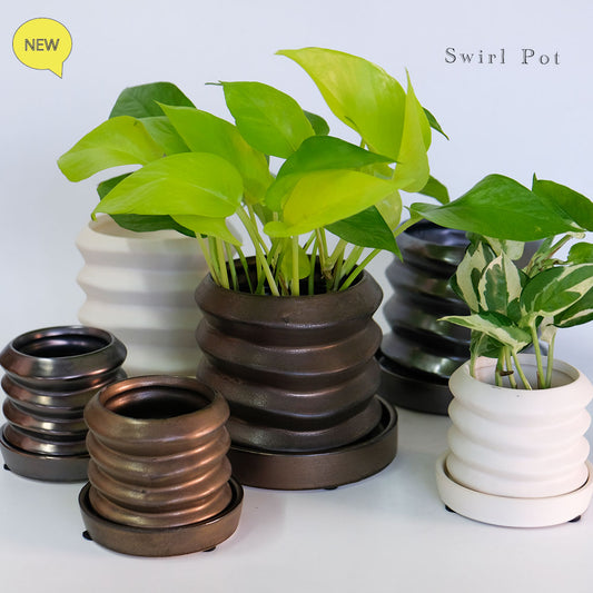 陶器鉢 Swirl Pot 受皿付 底穴あり セラミック鉢 トロンコ tronco