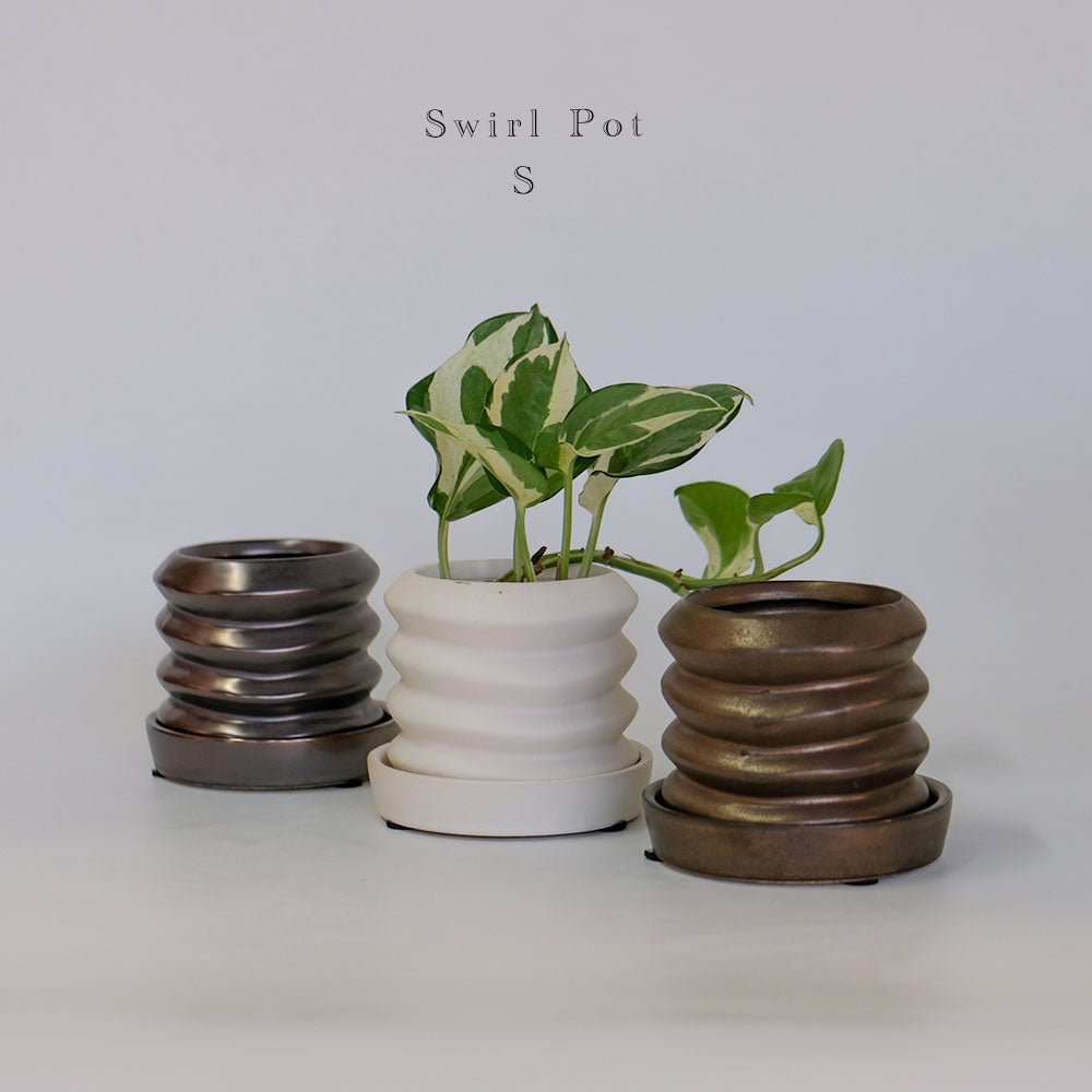 陶器鉢 Swirl Pot 受皿付 底穴あり セラミック鉢 トロンコ tronco