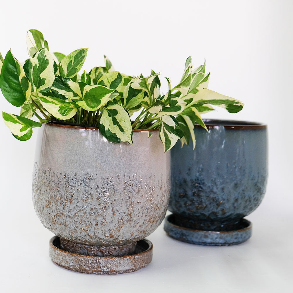 植木鉢 おしゃれ CORM POT & SAUCER 陶器鉢 受皿付 アースカラー  ビンテージ風 YARD 6号 から3.5号 観葉植物 鉢