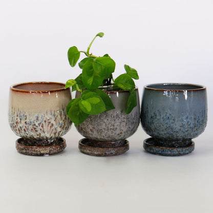 植木鉢 おしゃれ CORM POT & SAUCER 陶器鉢 受皿付 アースカラー  ビンテージ風 YARD 6号 から3.5号 観葉植物 鉢