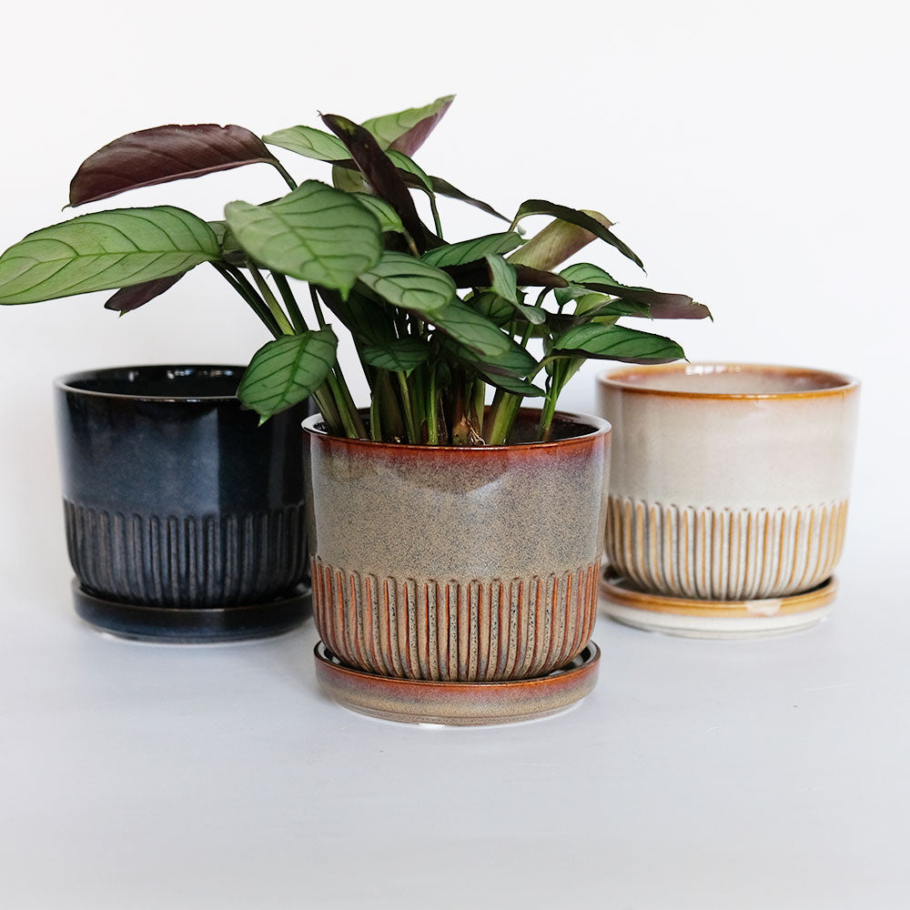 植木鉢 おしゃれ STREAK POT & SAUCER 12cm 4号 陶器鉢 受皿付 シック 光沢あり YARD 釉薬鉢 径12cm 高10cm 底穴あり セラミックポット