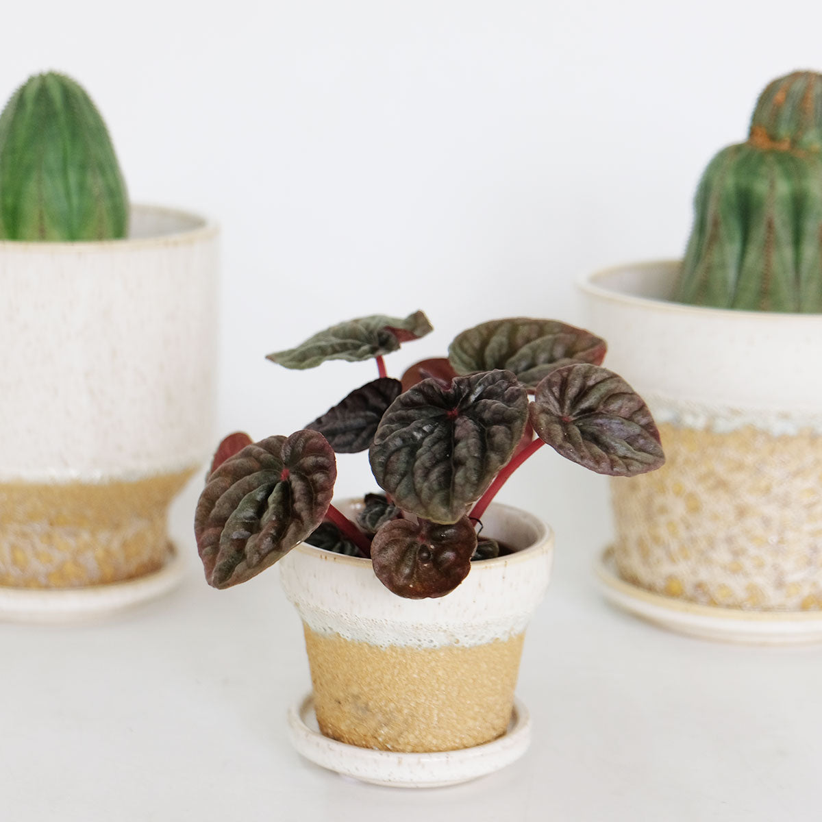 植木鉢 底穴あり 受皿付 セラミック鉢 約Φ8～13.5cm | murmures