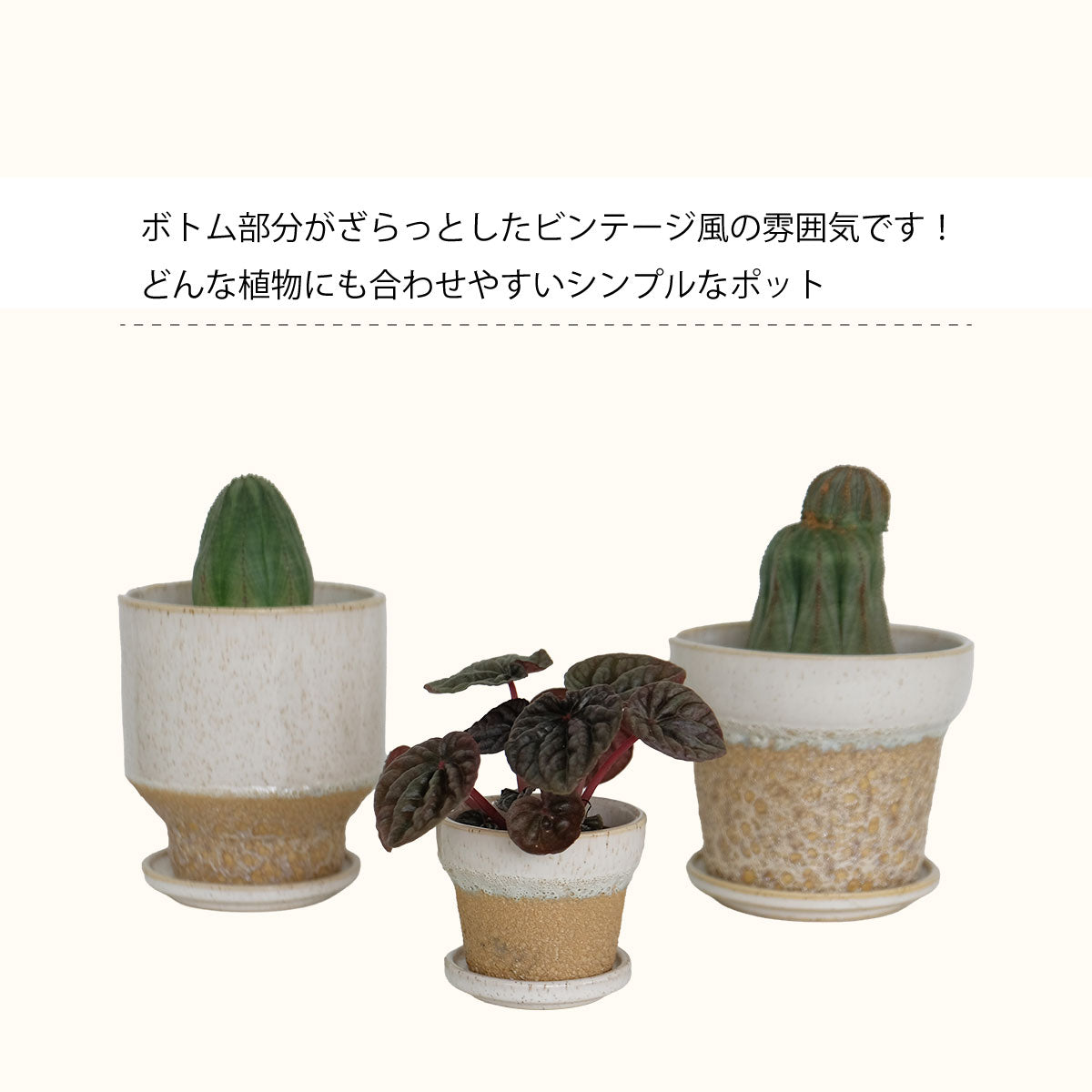 植木鉢 おしゃれ ザッカル 底穴あり 受皿付 セラミック鉢