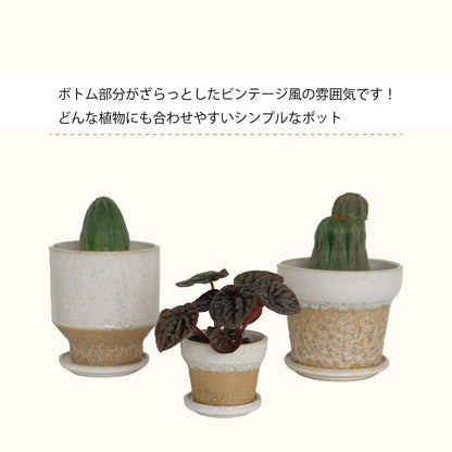 植木鉢 おしゃれ ザッカル 底穴あり 受皿付 セラミック鉢